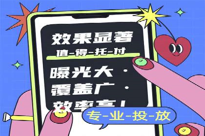 成功SEM服务案例分析报告